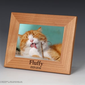 Cat Memorial, Memorial Picture Frame, Cat Name Frame, Pet Memorial Picture Frame, Sympathy Frame, Pet Remembrance, Cat Frame, Cat