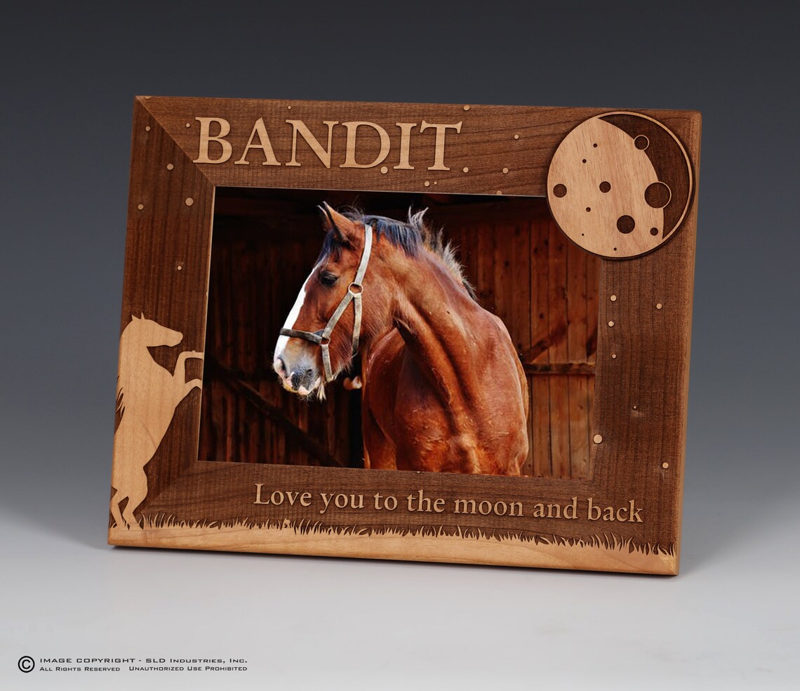 Horse Name Picture Frame Pet Picture Frame Custom Engraved Etsy