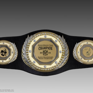 FANTASY FOOTBALL, Championship Belt, Trophy, Award, Personalized, This Belt is a WOW!!!!