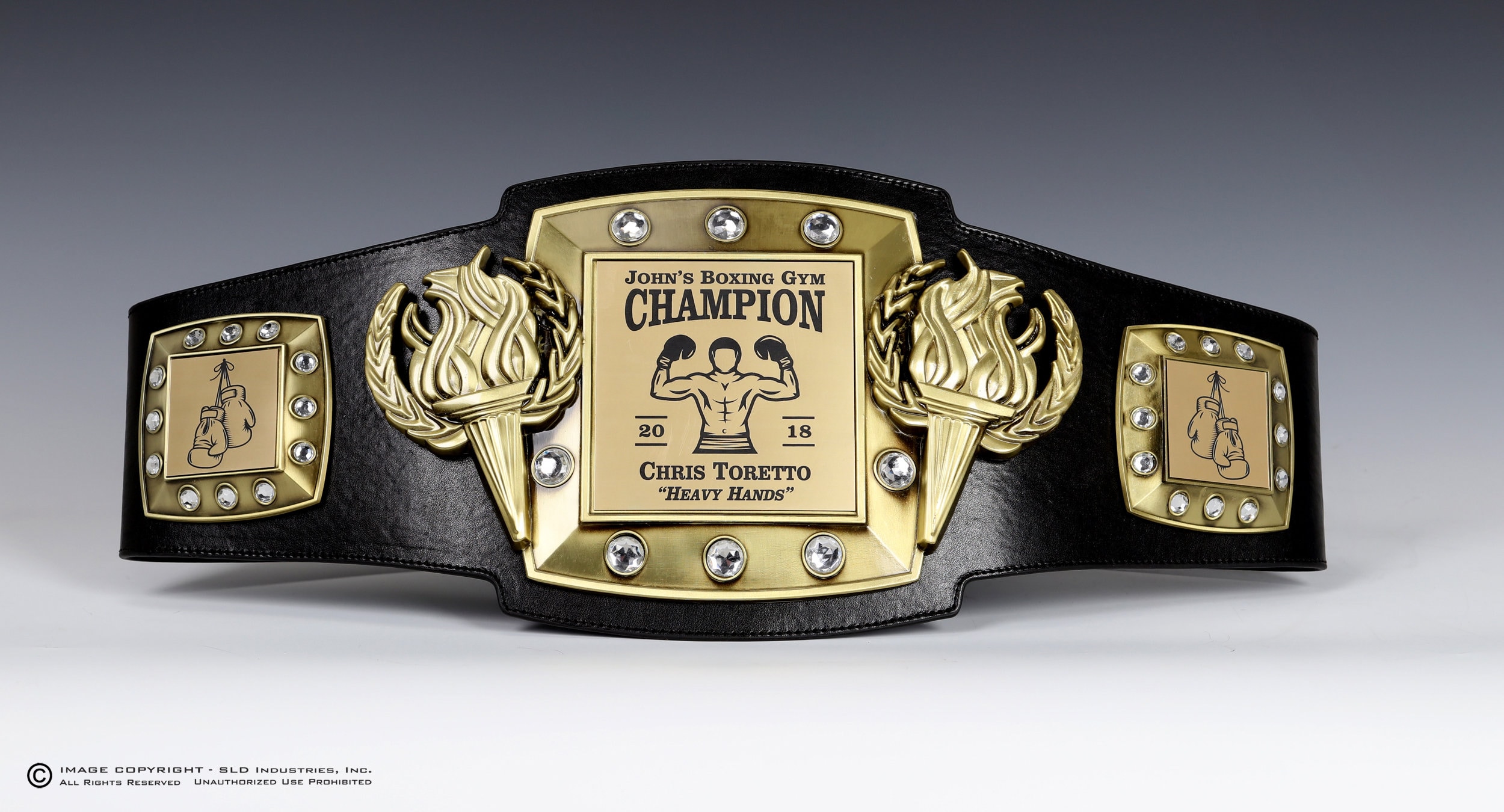 Boxing championship belt trophy award