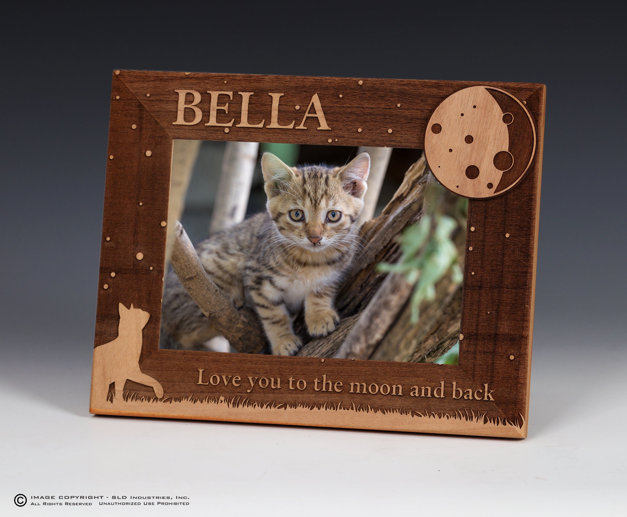 Cat Name Picture Frame Pet Picture Frame Personalized Pet Etsy
