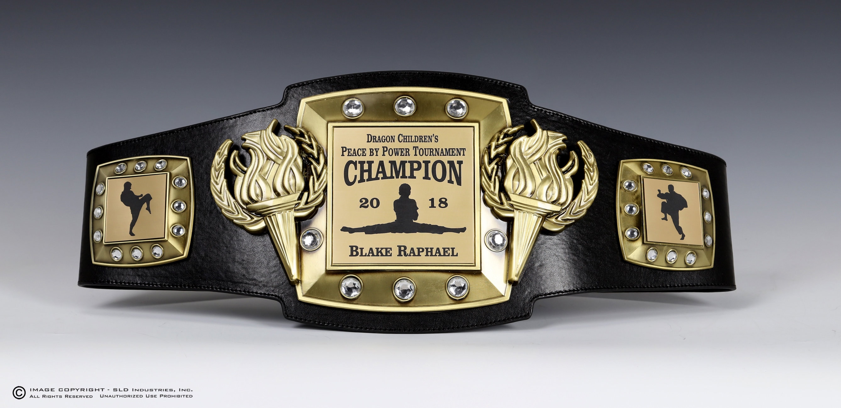 Boxing, Championship Belt, Trophy, Award, Perpetual, Personalized