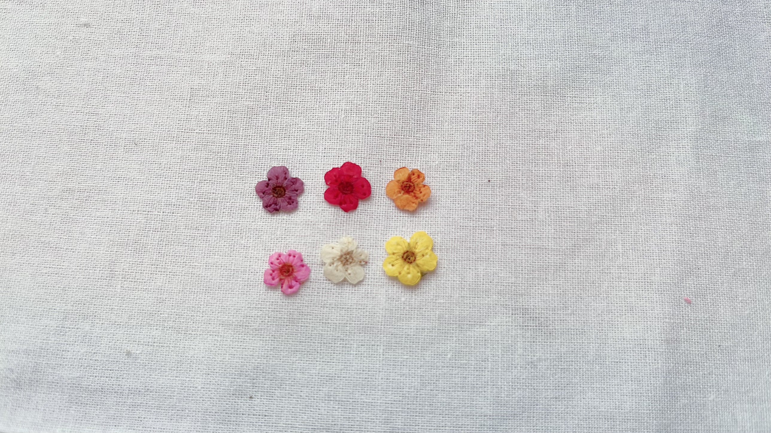Pressed flower bracelet, Resin bracelet, gold bracelet, Small size, Bridesmaid bracelet, Friendship bracelet, gift for her