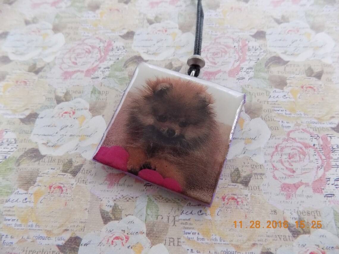 Dog Necklace//Pomeranian Dog//Necklace for Pomeranian Etsy