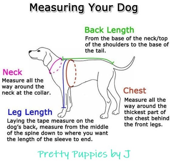 spiderman dog harness