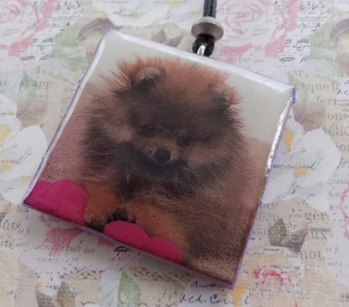 Dog Necklace//Pomeranian Dog//Necklace for Pomeranian Etsy