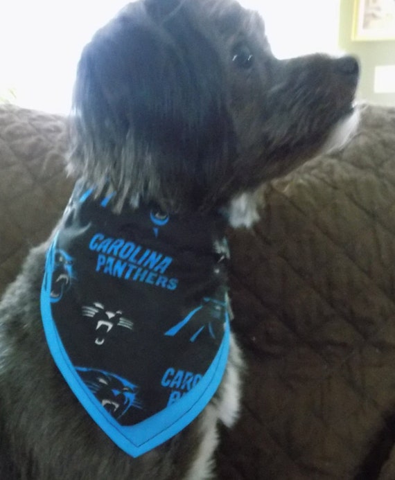 panthers dog jersey