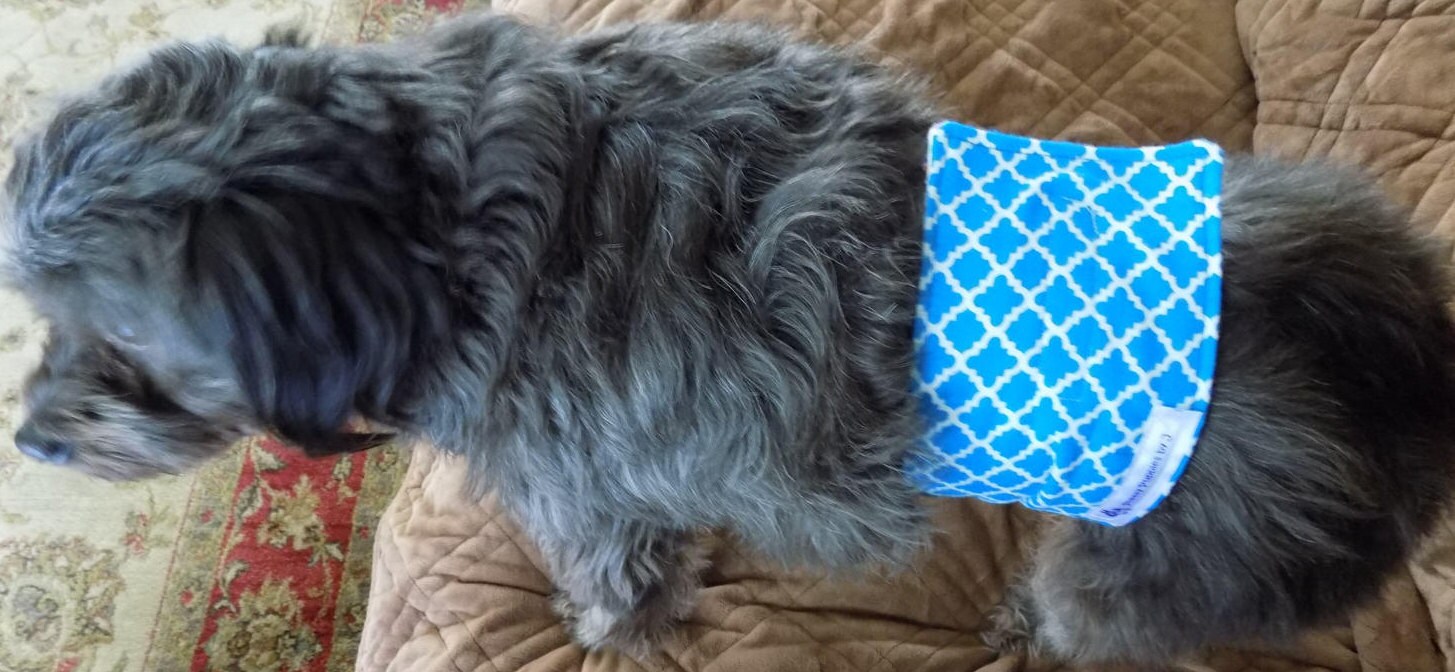 Boy Dog Belly Wrap//dog Diaper Belly Band for Male Dogs//male Etsy