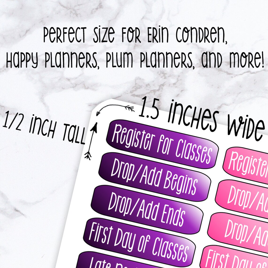 College Planner Stickers / Academic Calendar stickers / Fits Etsy