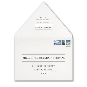 Modern Calligraphy Envelopes, Envelope Printing, Printed Envelopes, Addressed Envelopes, Elegant Wedding Envelopes