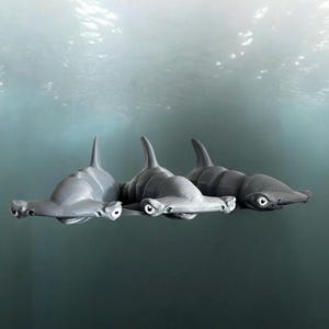 Hammer Head Shark fidget articulated 3D printed figure figurine