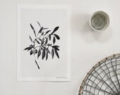 OLIVE BRANCH art print