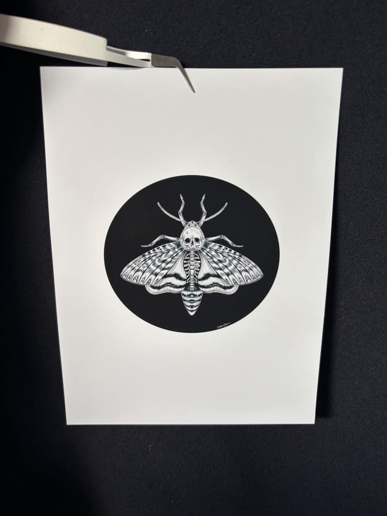Illustrated A4 Gothic Death Moth Skull Entomology Bug Wall Art Print - Etsy