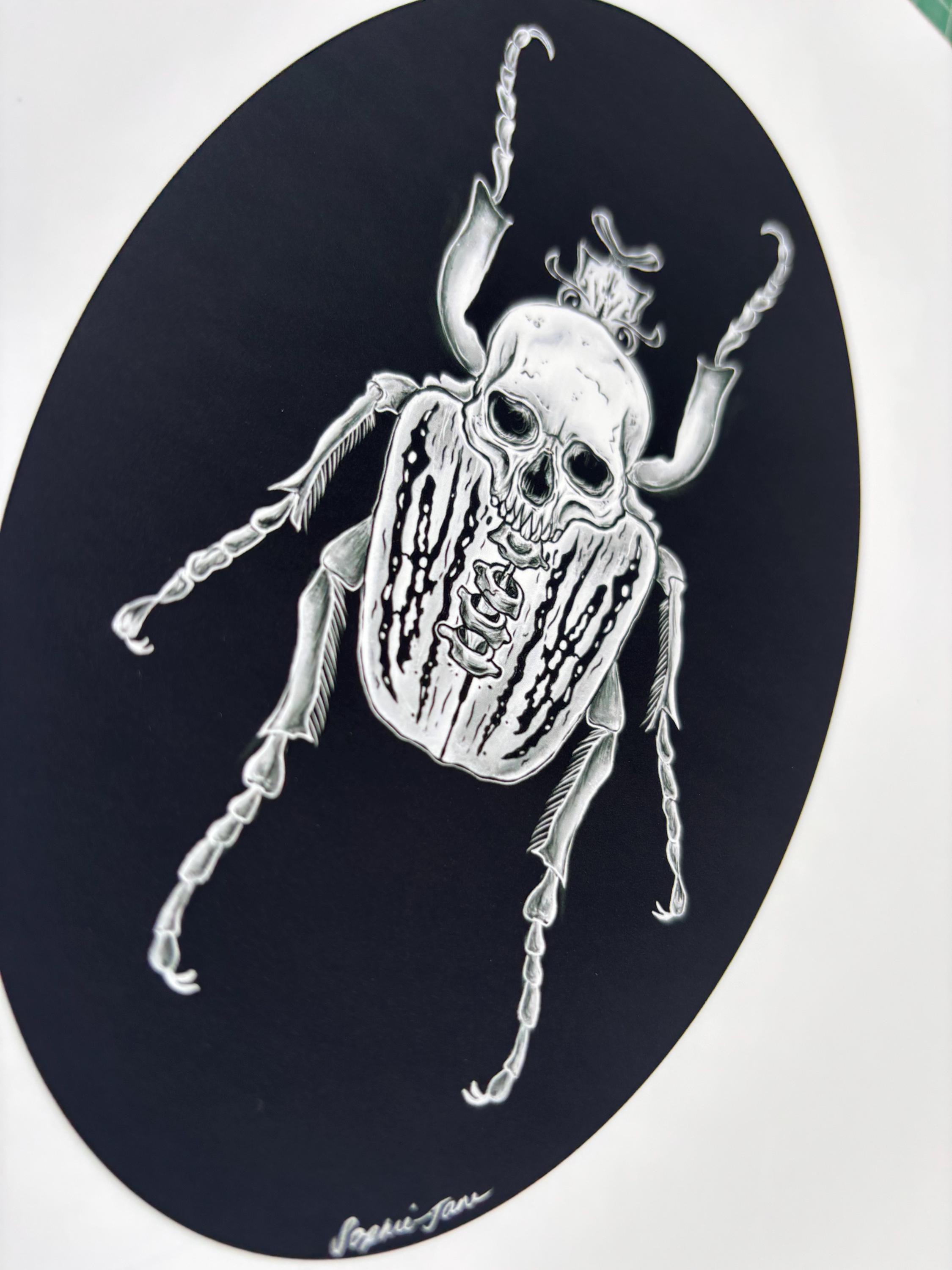 Illustrated A4 Goliath Beetle Gothic Skull Entomology Bug Wall Art ...