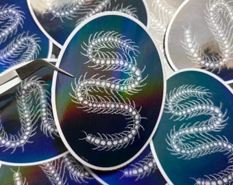 Giant Centipede Bug Myriapod Entomology Holographic Sticker