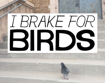 I Brake for Birds Bumper Sticker — Gift for Bird Lovers and Ornithologists