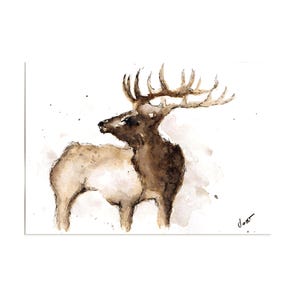 Handgemaltes Aquarell mit Rothirsch Naturmalerei Tiermotiv auf Postkarte DIN A6  Einzelstück Unikat kein Print Heimische Tierwelt