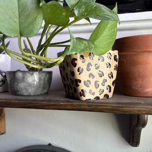 Punk Rock Planter - Etsy