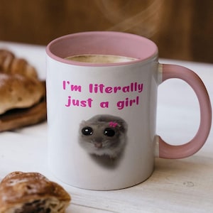 Mug Je ne suis littéralement qu'une fille, Mug à café mignon avec un hamster triste, Cadeaux roses pour filles pour son anniversaire, Idée cadeau Bae Box pour la Saint-Valentin