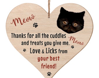 Social Stationery Modern Stationary Gifts for Cat Lovers Exotic Shorthair Personalized Flat Note Cards CT1 Cat Stationery