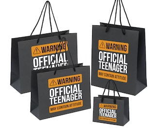 13th Birthday Gift Bag For Teenage Boys and Girls - Large, Medium and Small Recycled Eco Friendly Present Bag - Warning Teenager - Party Bag