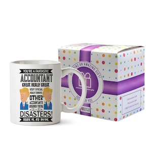Cadeau comptable pour comptable - Mug à café, tasse à thé - Cadeau pour auditeur financier - Mugs pour homme et femme - Vous êtes un comptable fantastique