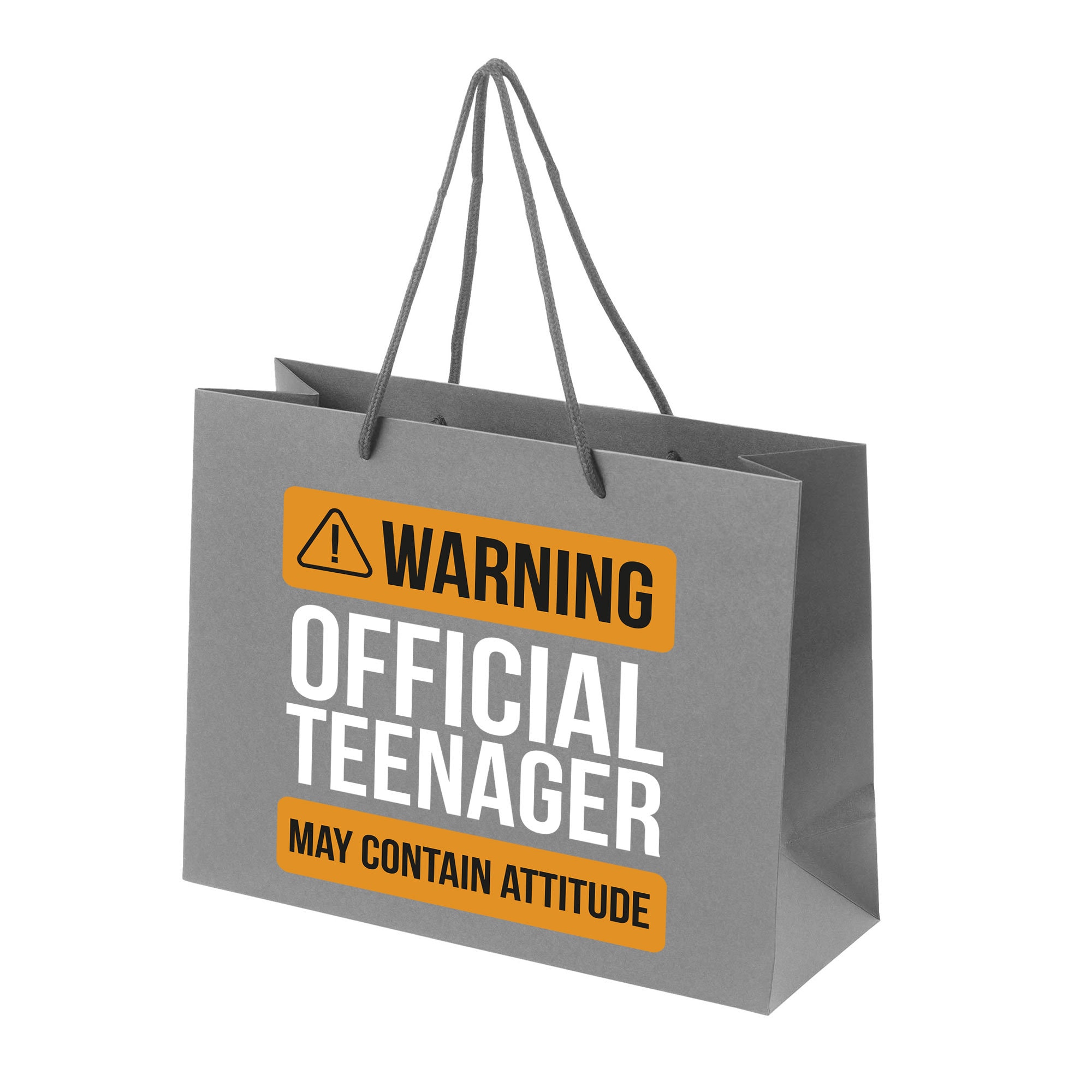 13th Birthday Gift Bag for Teenage Boys and Girls Large Etsy UK