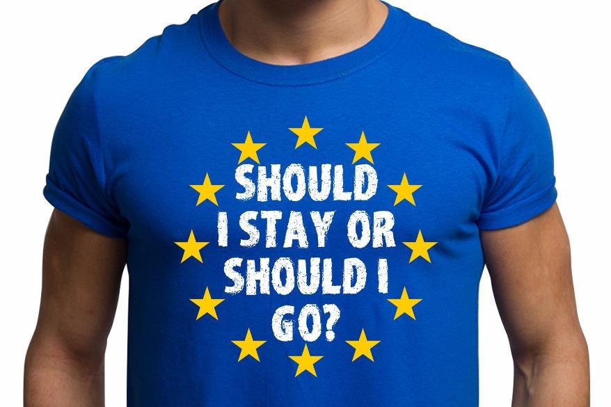 Image of Men’S Eu Referendum T Shirt Should I Stay Or Go Brexit Shirt