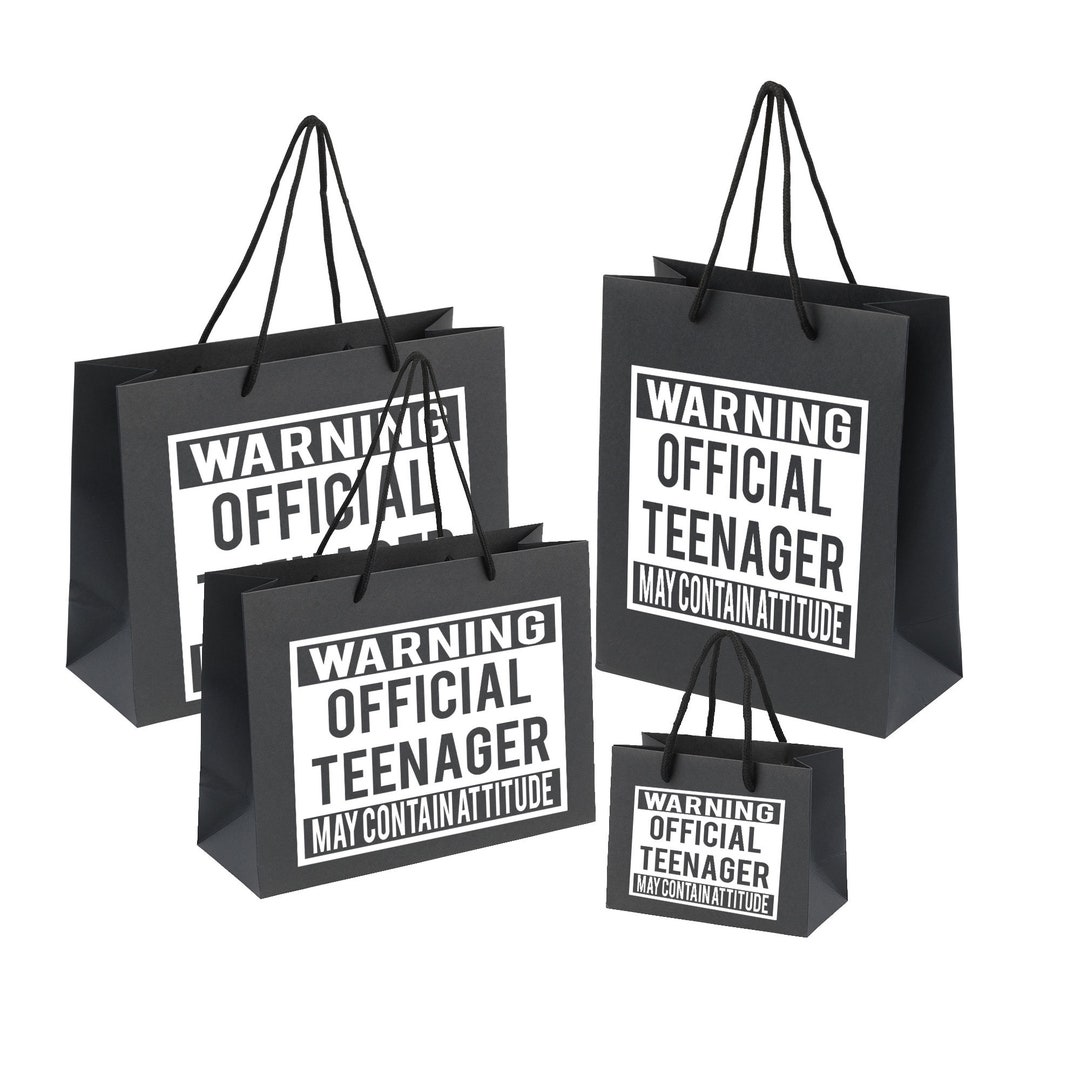 13th Birthday Gift Bag for Teenage Boys and Girls - Party Faovours