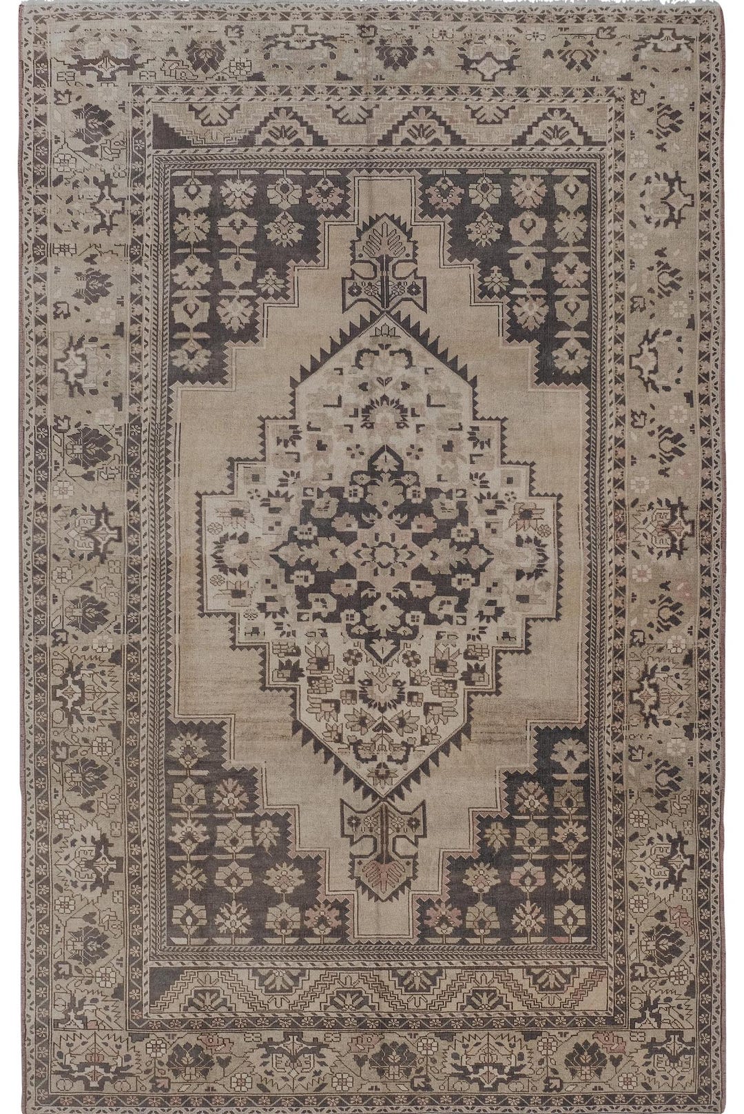Soft Neutral Colors Rug, Southwest Wool Rug, Bohemian Foyer Turkey ...