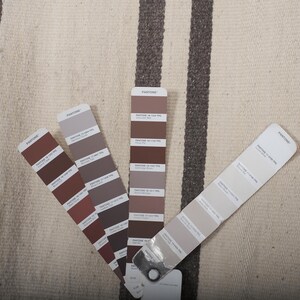 May include: Color swatches for paint colors in various shades of brown and gray. The swatches are labeled "Pantone".