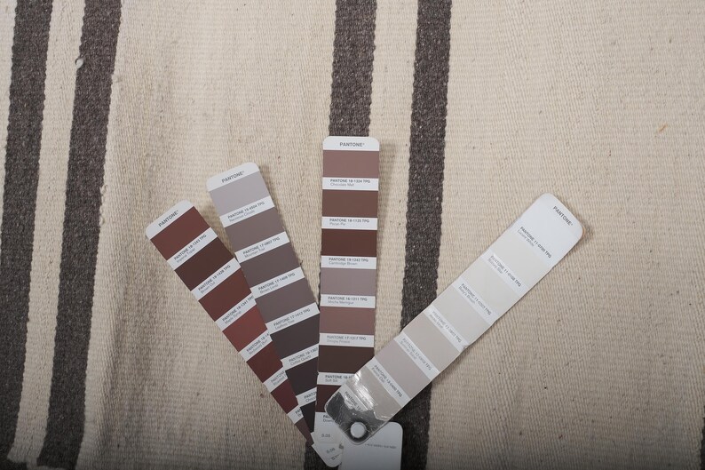 May include: Color swatches for paint colors in various shades of brown and gray. The swatches are labeled "Pantone".