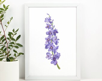 Featured image of post View 25 Realistic Larkspur Drawing
