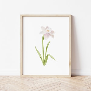 December Birth Flower: Narcissus Art Print
