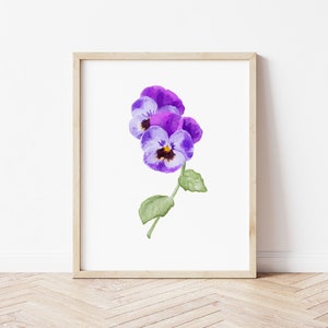 February Birth Flower: Pansy Art Print