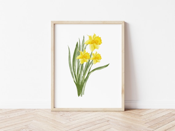 March Birth Flower: Daffodil Art Print