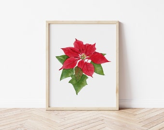 Poinsettia Flower Art Print