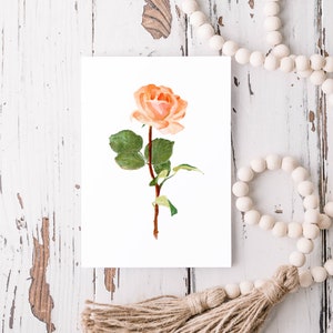 June Birth Flower: Rose Art Print image 2