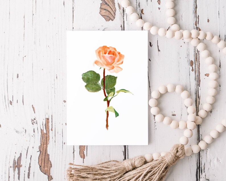 June Birth Flower: Rose Art Print image 2