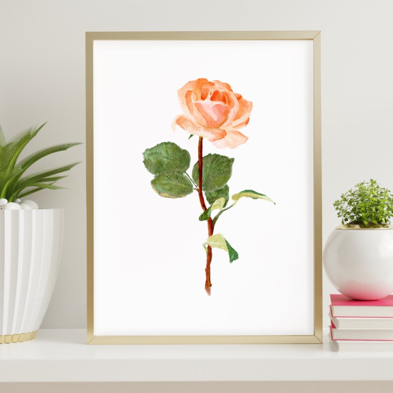 May include: A watercolor painting of a single peach-colored rose with green leaves and a brown stem. The rose is in a gold frame and is on a white shelf.