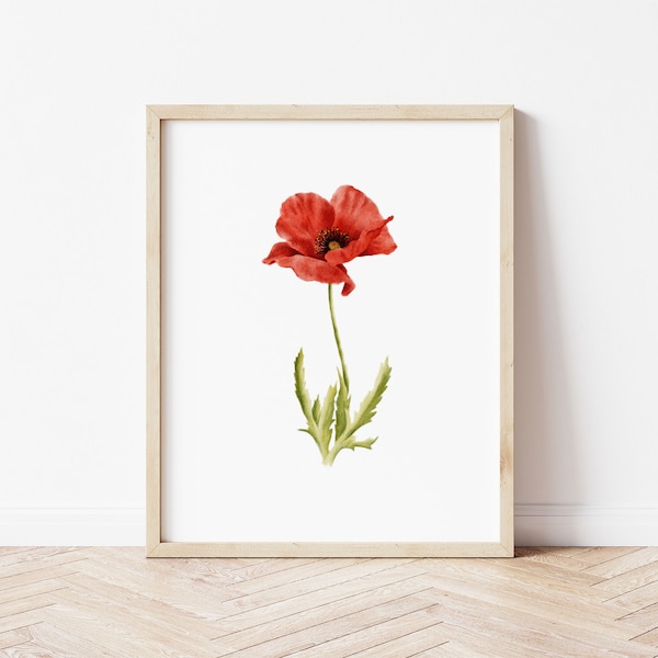 August Birth Flower: Poppy Art Print
