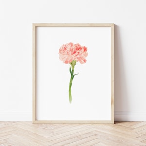 Januar Geburtsblume: Nelke Kunstdruck