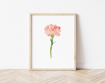 Impresión artística de clavel, flor de nacimiento de enero