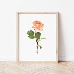 June Birth Flower: Rose Art Print