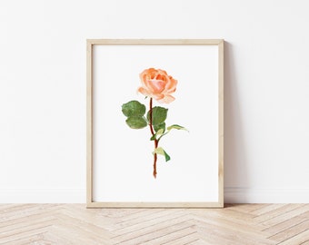 Flor de nacimiento de junio: rosa Lámina artística