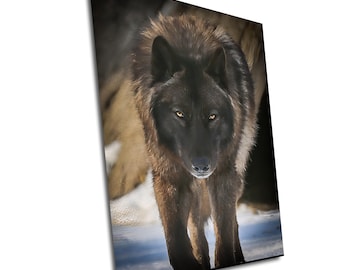 Black Wolf Portrait: Wildlife Home Decor Painting