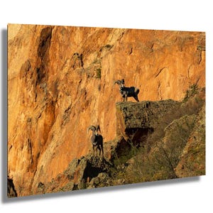 Garden of the Gods Wall Art - Acrylic, Canvas & Metal Options, Scenic Nature Decor, Colorado Landscape Gift