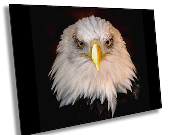 Bald Eagle Art Print: American Wildlife Home Decor