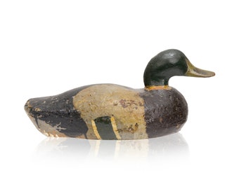 Pacific Coast Mallard Decoy