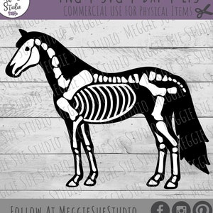 Horse Skeleton SVG, Horse Bones SVG, Halloween Horse Skeleton Graphic SVG, Gothic Horse SvG, Haunted Horse Skeleton SvG, Horse Clipart SvG
